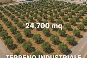 Terreno industriale