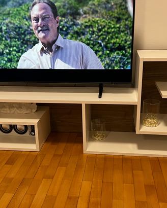 Mobile Tv