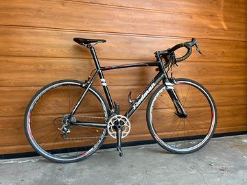 Bici da corsa in carbonio Rodman RD101