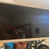 TV LG VOLTAGGIO 19V CON BRACETTO ESTENSIBILE 
