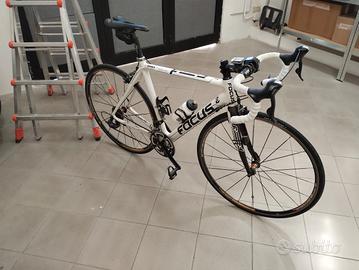 Bicicletta corsa  FOCUS CAYO taglia 54