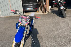 Sherco se 300