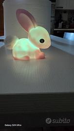 coniglio luminoso