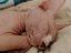 Immagine 5