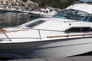 Barca a motore per amatori