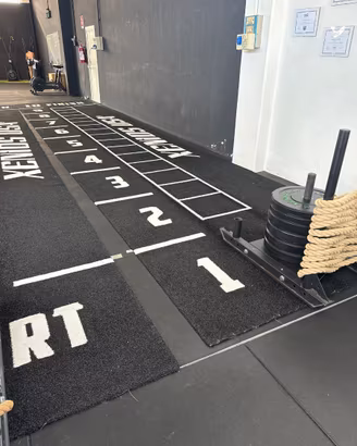 Erba sintetica nera per Sled