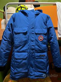 Canada goose