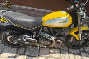 Ducati scrambler