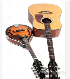 Maestro. Cantante chitarrista no fa