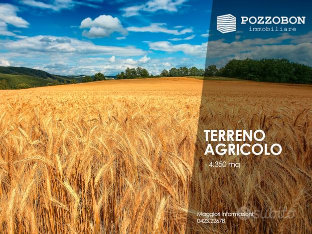 Montebelluna, Contea - Terreno agricolo