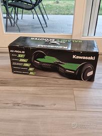 overboard professionale kawasaki