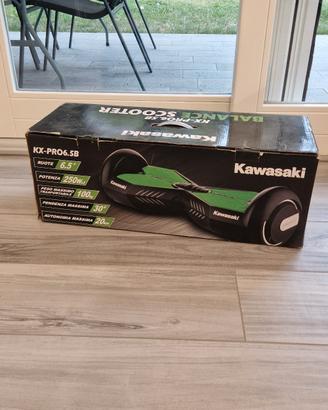 overboard professionale kawasaki