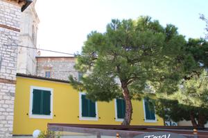 Affitti estivi a sirolo