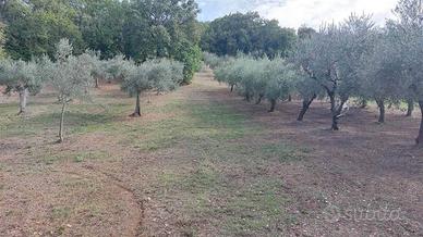 Terreno di 2670 m² a Lanciano