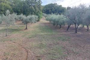 Terreno di 2670 m² a Lanciano
