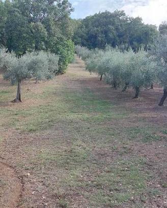 Terreno di 2670 m² a Lanciano