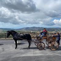 Cavallo