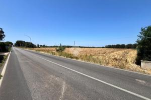 TER. AGRICOLO A MESAGNE