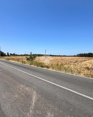 TER. AGRICOLO A MESAGNE