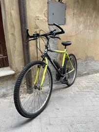 2 Biciclette