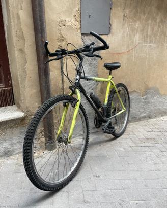 2 Biciclette