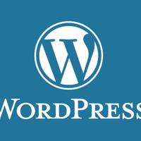 Siti web wordpress e consulenza informatica