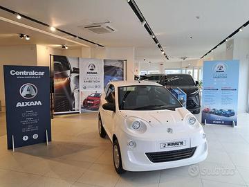 Aixam Minauto Access