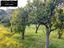 Immagine 25