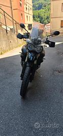  tiger 800 xc anno 2011