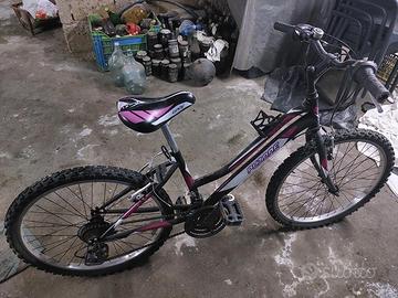 Bici rosa