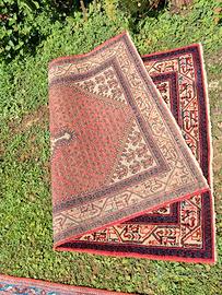 tappeto  persiano originale  Saraband 1.57× 1.06 c