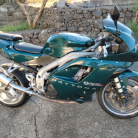 Triumph Daytona 955i 05