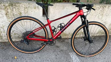 Bici MTB Hardtail BMC Twostroke 01
