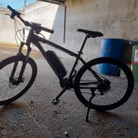 bici elettrica 