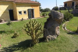 Grande villa Costa Smeralda