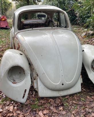 Scocca VW Maggiolino 1969