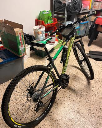 bici MTB adriatica 29