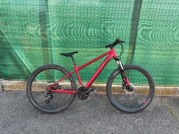 bicicletta 