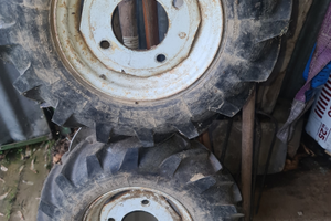 Cerchi e gomme goldoni