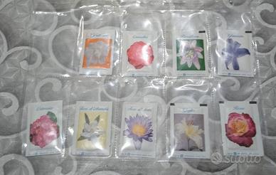 BUSTINE DI ZUCCHERO ENTRA 