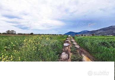 Tl 177/2022 terreno