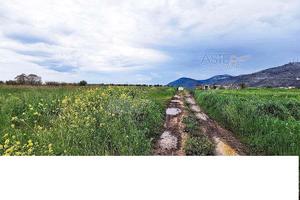Tl 177/2022 terreno