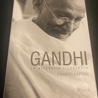 libro Gandhi la biografia illustrata
