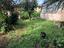 Immagine 25