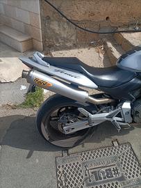 scarico mivv Hornet 2003 2006