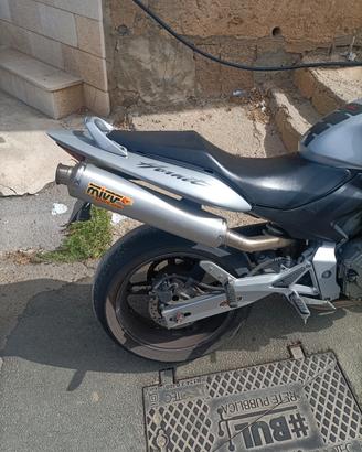 scarico mivv Hornet 2003 2006
