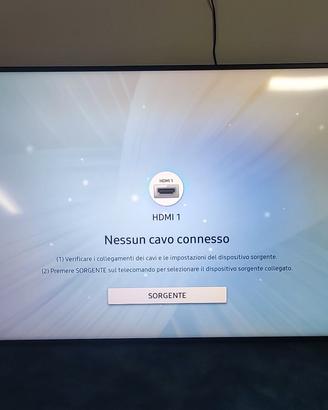 Monitor Display Professionale 55"