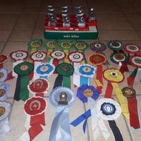 Coccaglie equitazione 88/89