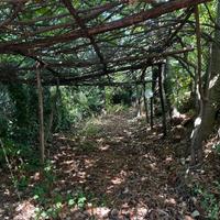 Villa con giardino