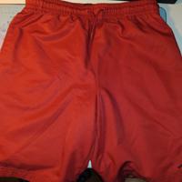 Costume da bagno della jordan